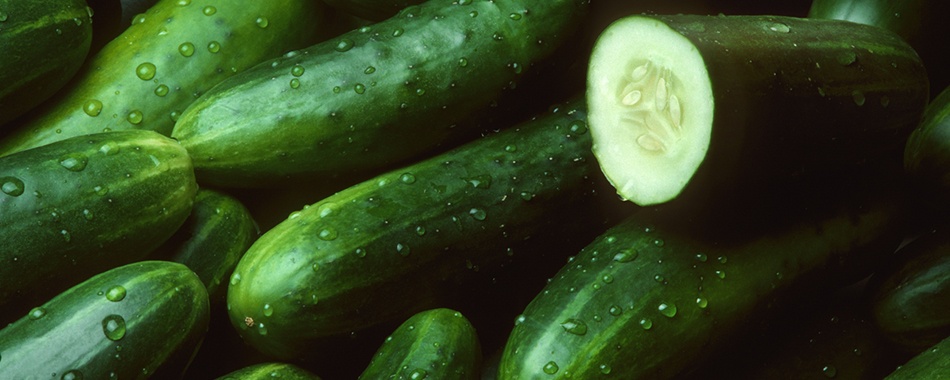 سلامتی و لاغری - گروه تخصصی محبوب مجاز - شرکت مسینا