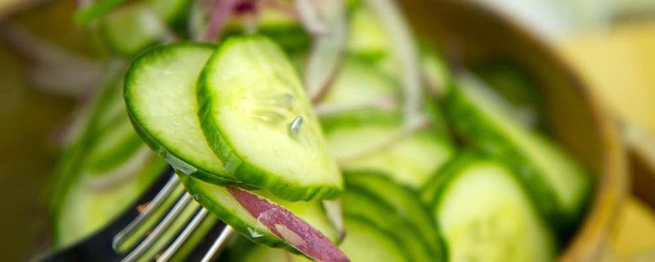 سلامتی و لاغری - گروه تخصصی محبوب مجاز - شرکت مسینا